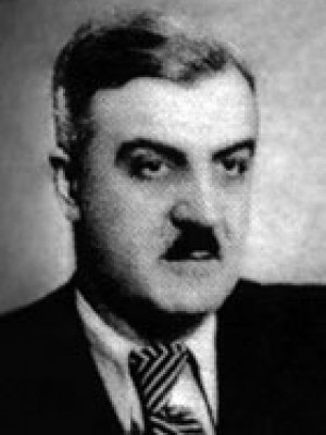 Momir Veljković